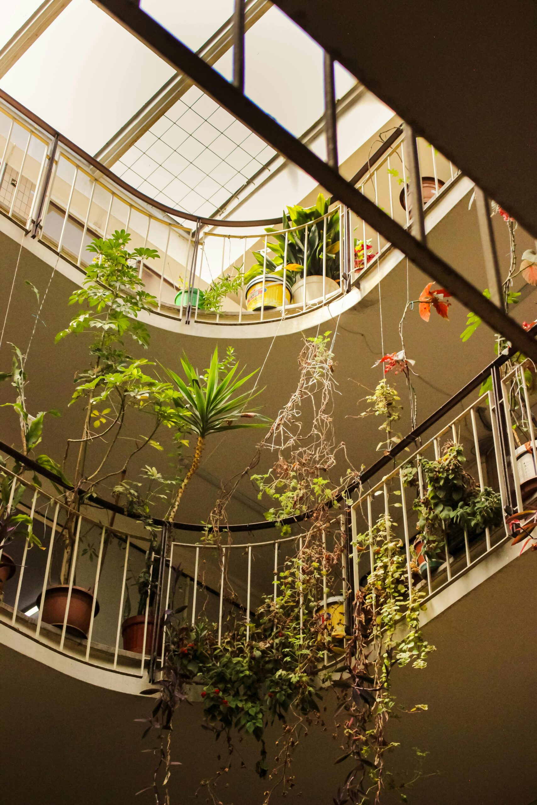 Geld besparen met een groen balkon: slim tuinieren op hoogte
